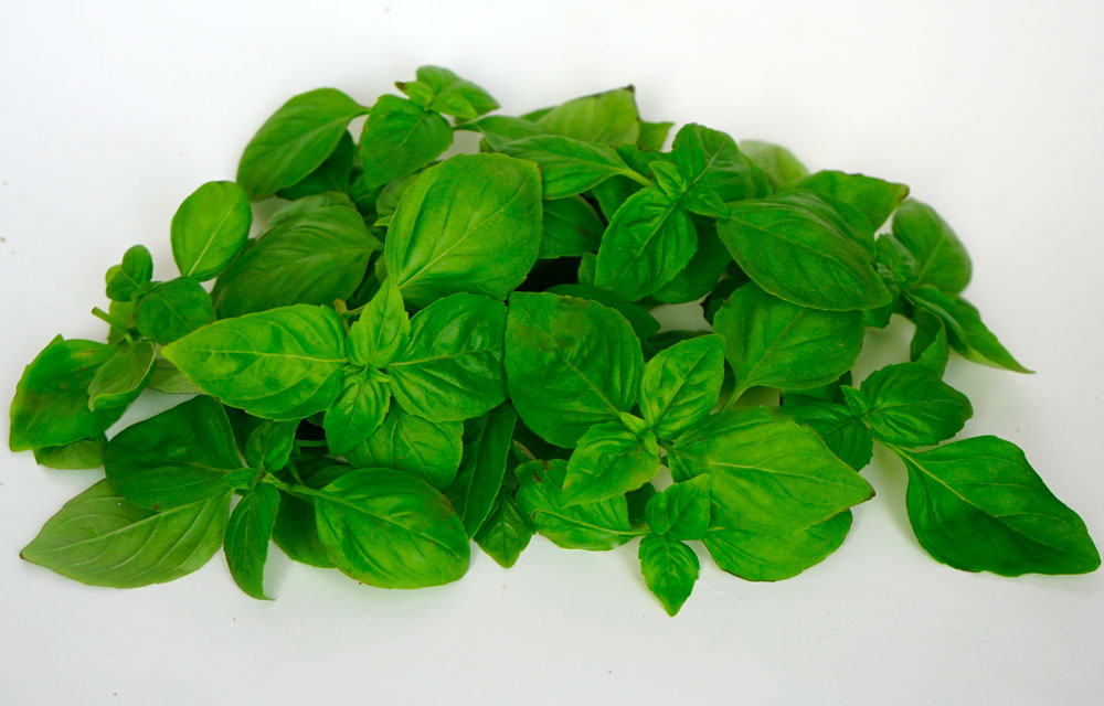 albahaca.jpg