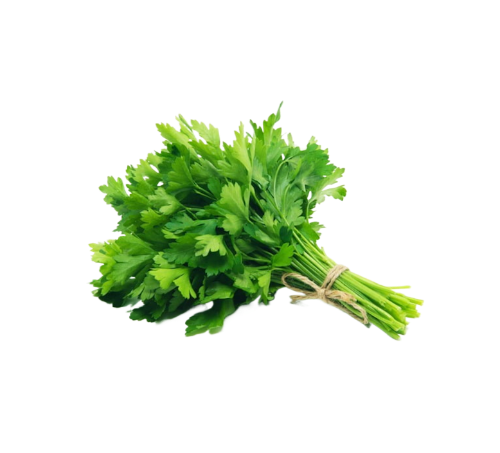 cilantro.png