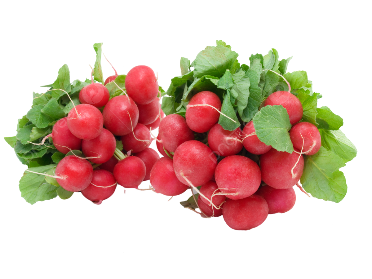rabanos.png